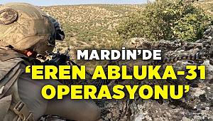 Mardin'de Eren Abluka-31 Operasyonu başladı