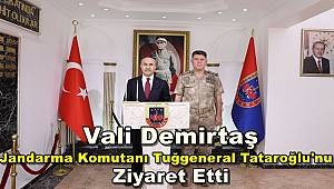 Mardin Valisi Demirtaş Jandarma Komutanı Tuğgeneral Tataroğlu'nu Ziyaret Etti