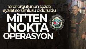 MİT, PKK'nın 'eyalet sorumlusu' dahil 2 teröristi etkisiz hale getirdi 