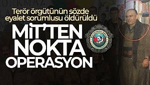 MİT, PKK'nın 'eyalet sorumlusu' dahil 2 teröristi etkisiz hale getirdi