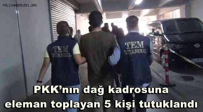 PKK’nın dağ kadrosuna eleman toplayan 5 kişi tutuklandı 