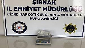 Şırnak'ta kaçakçılık ve asayiş operasyonu, 24 gözaltı