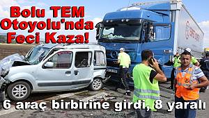 TEM Otoyolu'nda feci kaza! 6 araç birbirine girdi, 8 yaralı
