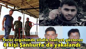 Terör örgütünde silahlı faaliyet gösteren 6 kişi Şanlıurfa'da yakalandı 