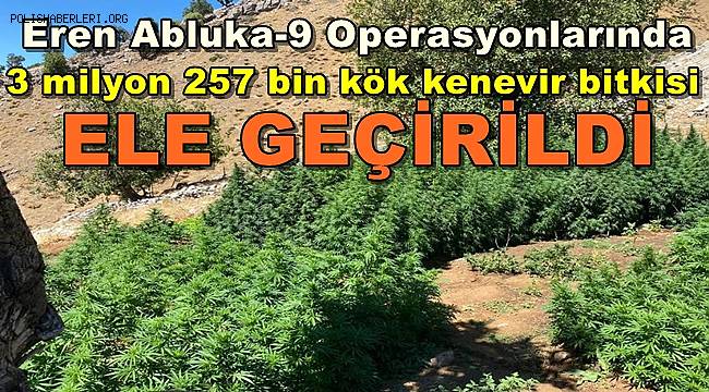 EREN ABLUKA-9 Operasyonlarında 3 Milyon 257 Bin Kök Kenevir Bitkisi Ele Geçirildi