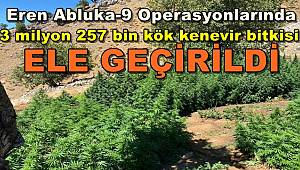EREN ABLUKA-9 Operasyonlarında 3 Milyon 257 Bin Kök Kenevir Bitkisi Ele Geçirildi