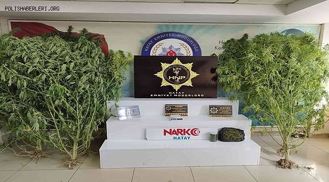 Hatay’da uyuşturucu operasyonu, 2 gözaltı