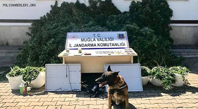 İkametlerinde uyuşturucu madde imal edip satan 2 şüpheli yakalandı