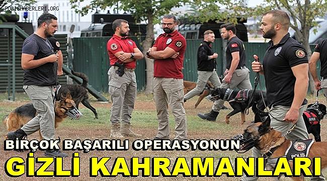Sıkı eğitimden geçen ‘hassas burunlar' operasyonlarda önemli görevler alacak 