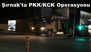 Şırnak'ta PKK/KCK operasyonuna 14 gözaltı 