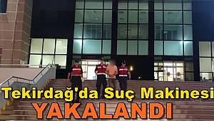 Tekirdağ’da Suç Makinesi Yakalandı
