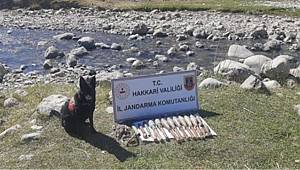 Yüksekova kırsalında silah ve mühimmat ele geçirildi 