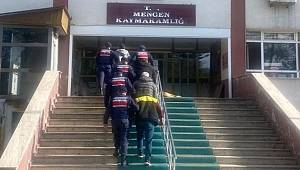 Bolu’da kaçak ağaç kesimi yapan 5 kişi yakalandı