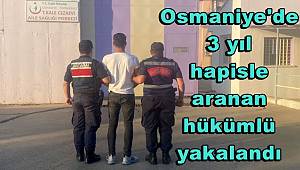 Osmaniye'de 3 yıl hapisle aranan hükümlü yakalandı 