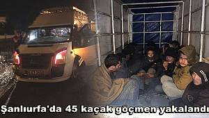Şanlıurfa'da 45 kaçak göçmen yakalandı 
