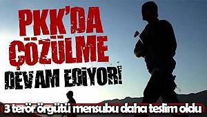 Terör örgütü PKK'da çözülme devam ediyor, 3 PKK'lı daha teslim oldu