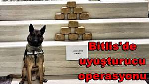 Bitlis'de uyuşturucu operasyonu