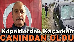 Köpeklerden Kaçarken Canından Oldu