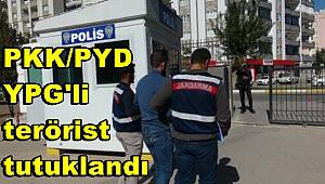 PKK/PYD/YPG'li terörist tutuklandı