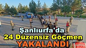 Şanlıurfa'da 24 Düzensiz Göçmen Yakalandı
