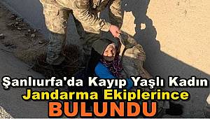 Şanlıurfa'da Kayıp Yaşlı Kadın Jandarma Ekiplerince Bulundu