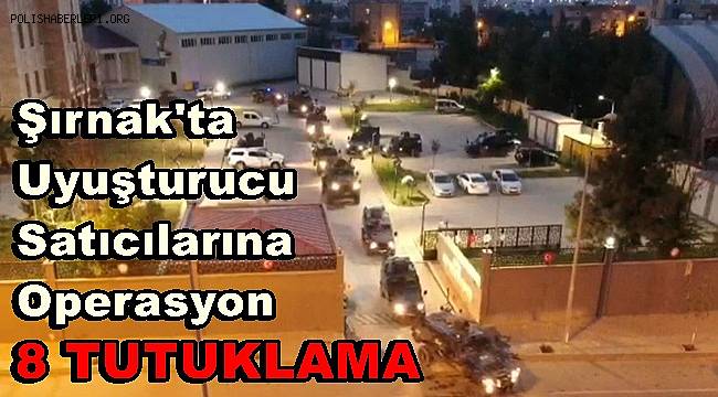 Şırnak'ta uyuşturucu satıcılarına operasyonda 8 tutuklama