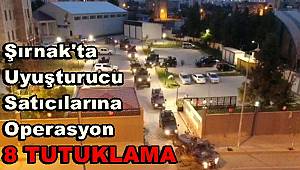 Şırnak'ta uyuşturucu satıcılarına operasyonda 8 tutuklama