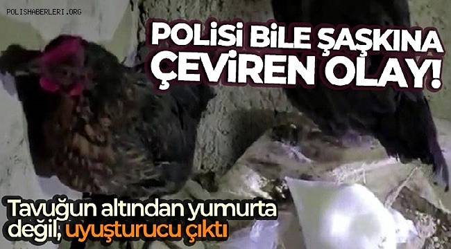Tavuğun altından yumurta değil, uyuşturucu çıktı 
