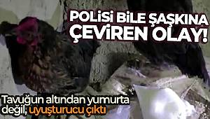 Tavuğun altından yumurta değil, uyuşturucu çıktı