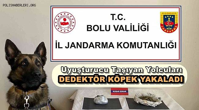 Uyuşturucu Taşıyan Yolcuları Dedektör Köpek Yakaladı