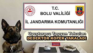 Uyuşturucu Taşıyan Yolcuları Dedektör Köpek Yakaladı