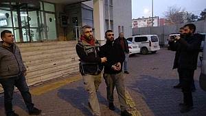 12 yıl hapis cezası bulunan bina faresi yakalandı