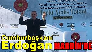 Cumhurbaşkanı Erdoğan Mardin'de