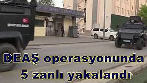 DEAŞ operasyonunda 5 zanlı yakalandı 