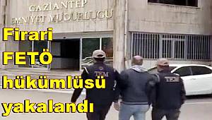Firari FETÖ hükümlüsü yakalandı