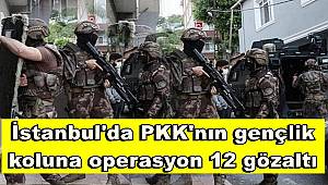 İstanbul'da PKK'nın gençlik koluna operasyon, 12 gözaltı