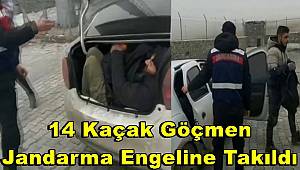 Kars'ta Jandarma kaçak göçmenlere geçit vermedi! 