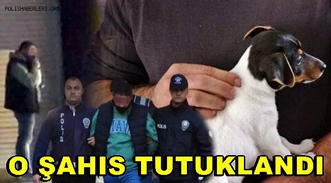 Kucağına aldığı yavru köpeği ısırıp yumruklayan şahıs tutuklandı 