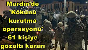 Mardin’de 'Kökünü kurutma operasyonu', 61 kişiye gözaltı kararı 