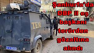 Şanlıurfa'da DBP il eş başkanı terörden gözaltına alındı 