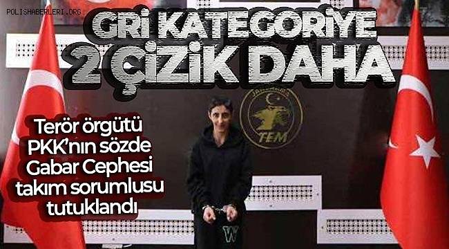 Terör örgütü PKK'nın sözde Gabar Cephesi takım sorumlusu tutuklandı 
