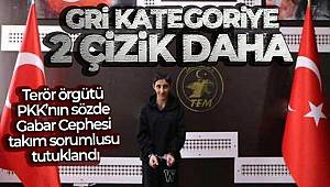 Terör örgütü PKK'nın sözde Gabar Cephesi takım sorumlusu tutuklandı