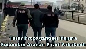 Terör propagandası yapma suçundan aranan firari yakalandı