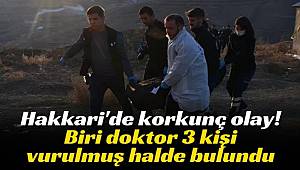 Yüksekova'da biri doktor 3 kişi silahla vurulmuş halde bulundu