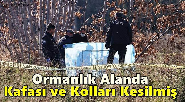 Antalya’da ormanlık alanda kafası ve kolları olmayan erkek cesedi bulundu 