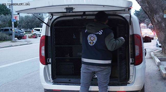 Bursa’da hırsızlıktan 9 kişi tutuklandı 