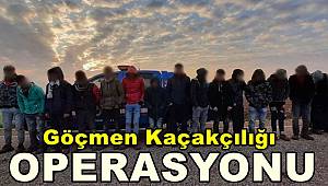 Gaziantep'te 134 düzensiz göçmen yakalandı, 8 organizatör tutuklandı