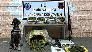 İzmir'deki 'Kökünü Kurutma' operasyonunda 59 gözaltı