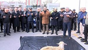 Kartal'da emniyet personeli için yeni araçlar koyun kesimi ve dualar eşliğinde alındı