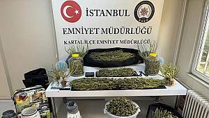 Kartal’da evi uyuşturucu serasına çevirdiler